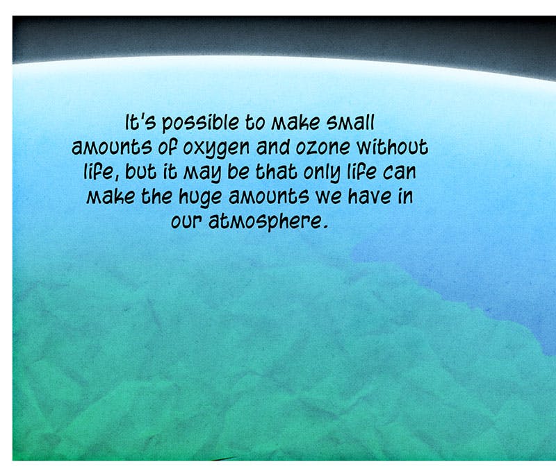 My Image 15