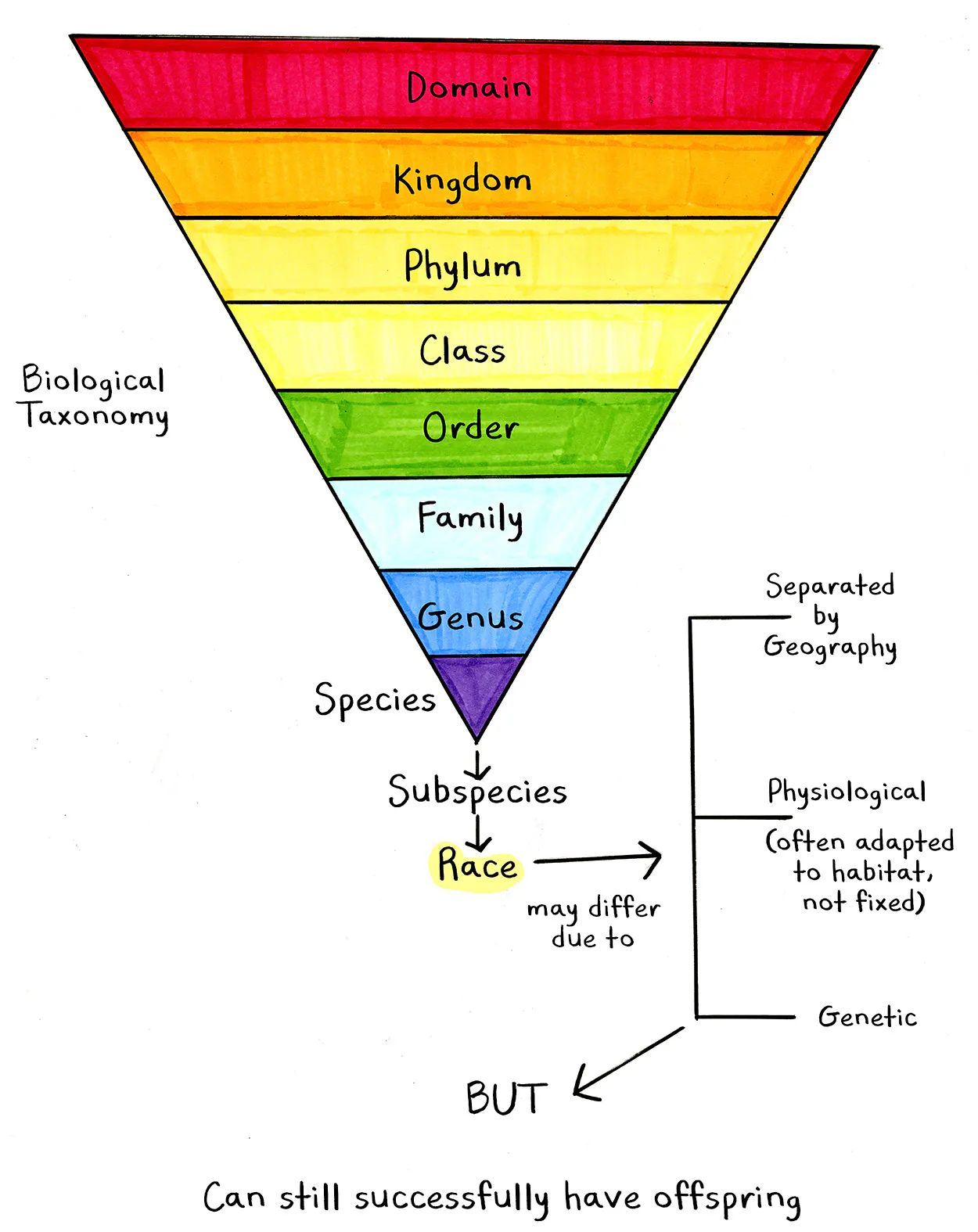 Race Science Examples What is Race? - by Whit Taylor