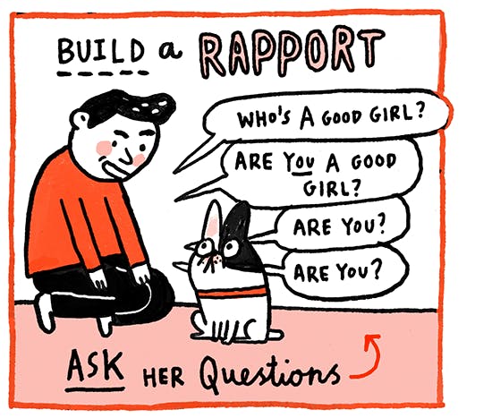 The Pick Up Artists Guide To Attracting Hot Bitches By Gemma Correll 